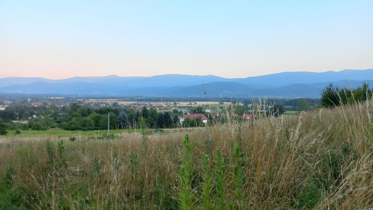 Appartement Waniliowe Zacisze à Jelenia Góra Extérieur photo